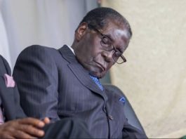 President Mugabe sleeping