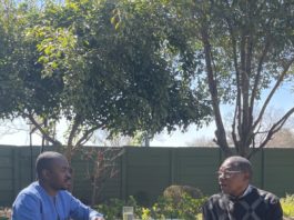 Simba Makoni and Nelson Chamisa
